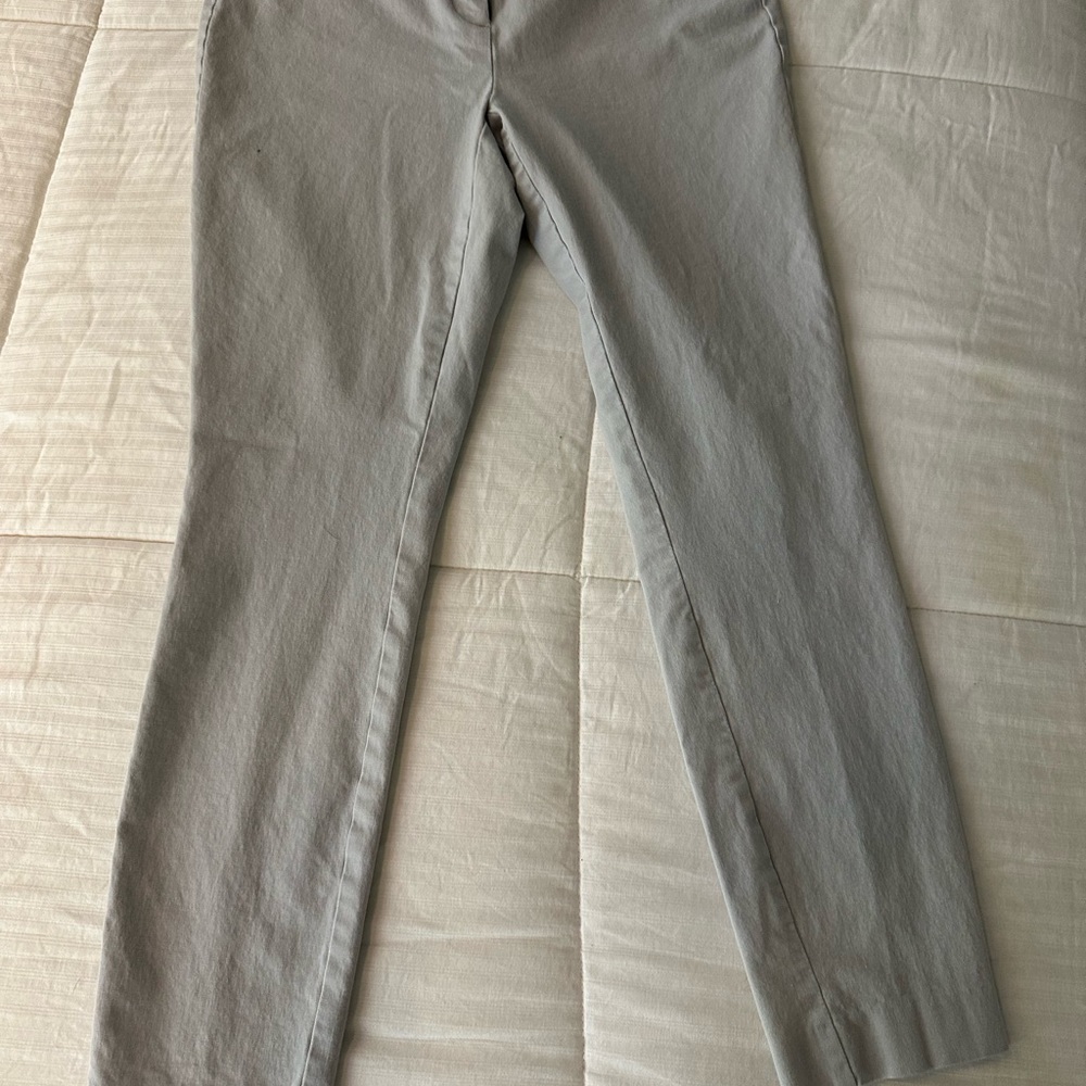Stretchy ankle-length pants in a pretty silver-gray color.